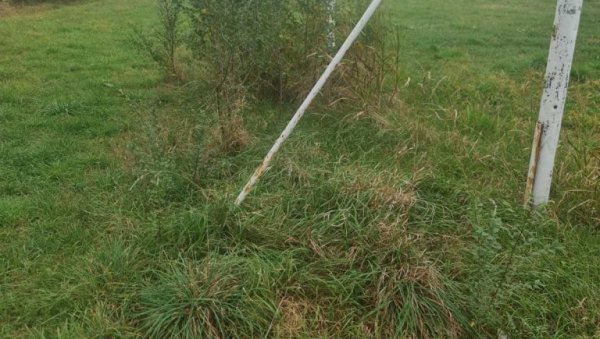 НОВО РЕШЕЊЕ У БОРБИ ПРОТИВ КОРОВА: Кинески научници развили хербицид који не загађује земљиште