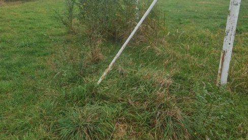 НОВО РЕШЕЊЕ У БОРБИ ПРОТИВ КОРОВА: Кинески научници развили хербицид који не загађује земљиште