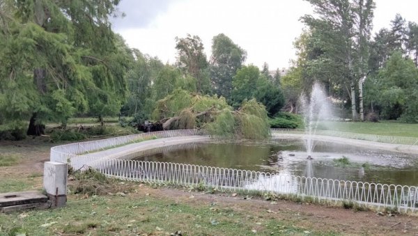 САДЕ НОВА ПЛУЋА ГРАДА: Ускоро креће санација олујом оштећених паркова у Новом Саду САДЕ НОВА ПЛУЋА ГРАДА: Ускоро креће санација олујом оштећених паркова у Новом Саду