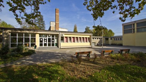 ORMAN PAO NA DEČAKA (8): Incident u novosadskoj osnovnoj školi, povređeno dete u bolnici ORMAN PAO NA DEČAKA (8): Incident u novosadskoj osnovnoj školi, povređeno dete u bolnici