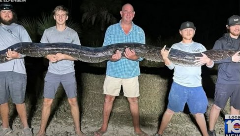 БУКВАЛНО НАС ПОДИГЛА СА ЗЕМЉЕ Пет мушкараца ЈЕДВА савладало џиновску змију - зашто су морали да је уклоне из природе