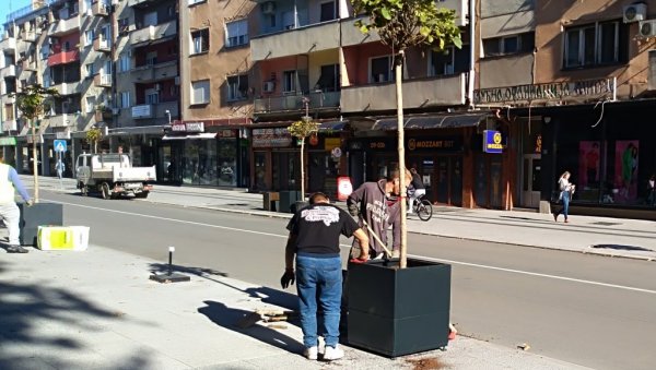 ЗА ЛЕПШИ ПОЖАРЕВАЦ: Ново зеленило за обновљену Табачку чаршију ЗА ЛЕПШИ ПОЖАРЕВАЦ: Ново зеленило за обновљену Табачку чаршију