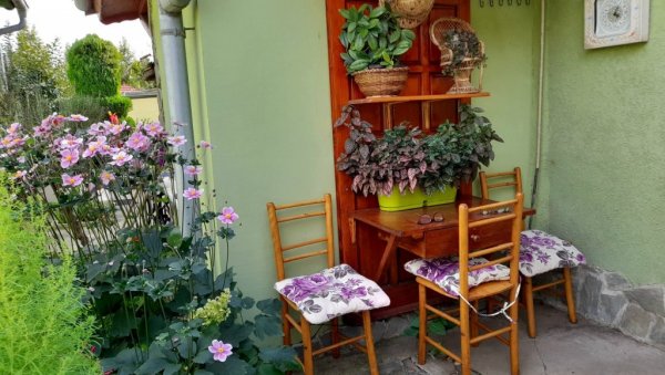 ТРАДИЦИОНАЛНА АКЦИЈА У ПОЖАРЕВЦУ: Изабрана најлепше уређена дворишта ТРАДИЦИОНАЛНА АКЦИЈА У ПОЖАРЕВЦУ: Изабрана најлепше уређена дворишта