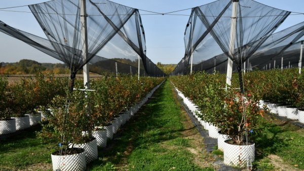 ОДРАЂЕНА ПОЛОВИНА ПОСЛА: Попис пољопривреде на територији Врњачке Бање ОДРАЂЕНА ПОЛОВИНА ПОСЛА: Попис пољопривреде на територији Врњачке Бање