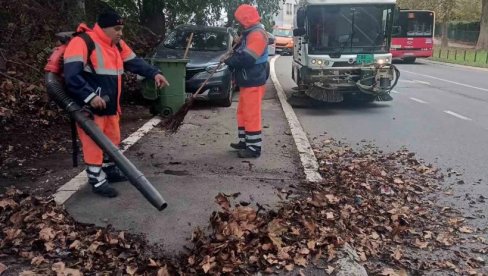 TRODNEVNA AKCIJA NA ČUKARICI: Čistili zelene površine i trotoare