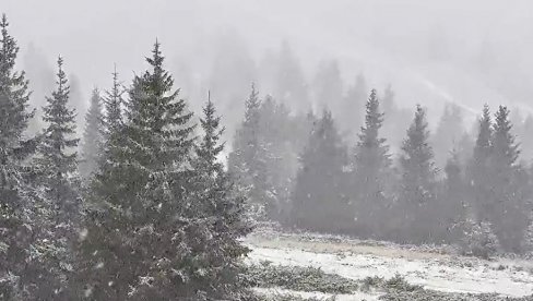 STIGLE PRVE PAHULJE: Kopaonik se zabeleo u jesen (FOTO/VIDEO) STIGLE PRVE PAHULJE: Kopaonik se zabeleo u jesen (FOTO/VIDEO)
