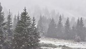 STIGLE PRVE PAHULJE: Kopaonik se zabeleo u jesen (FOTO/VIDEO)