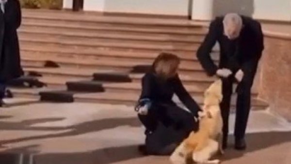 ПАС МАЈЕ САНДУ УГРИЗАО АУСТРИЈСКОГ ПРЕДСЕДНИКА ЗА РУКУ: Ван дер Белен завршио са завојем (ВИДЕО) ПАС МАЈЕ САНДУ УГРИЗАО АУСТРИЈСКОГ ПРЕДСЕДНИКА ЗА РУКУ: Ван дер Белен завршио са завојем (ВИДЕО)