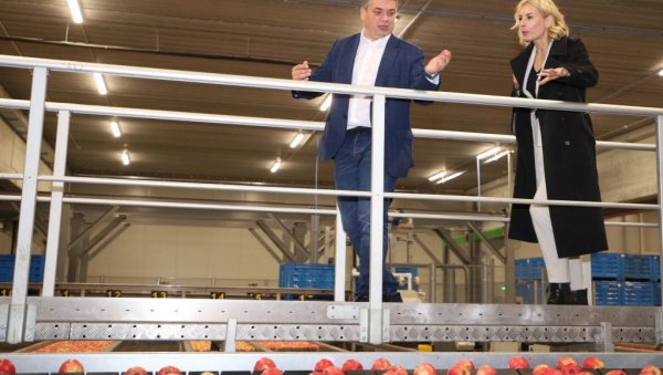 Делта Аграр и Делез Србија обишли модерне засаде јабука у околини Зајечара: Рекордни приноси Pink Lady Делта Аграр и Делез Србија обишли модерне засаде јабука у околини Зајечара: Рекордни приноси Pink Lady