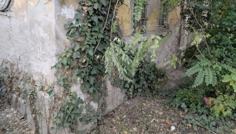 NOŽEM IZBO ŽRTVU 30 PUTA: Jezivi detalji ubistva muškarca (38) u Novom Sadu (FOTO) NOŽEM IZBO ŽRTVU 30 PUTA: Jezivi detalji ubistva muškarca (38) u Novom Sadu (FOTO)