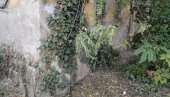 NOŽEM IZBO ŽRTVU 30 PUTA: Jezivi detalji ubistva muškarca (38) u Novom Sadu (FOTO) NOŽEM IZBO ŽRTVU 30 PUTA: Jezivi detalji ubistva muškarca (38) u Novom Sadu (FOTO)