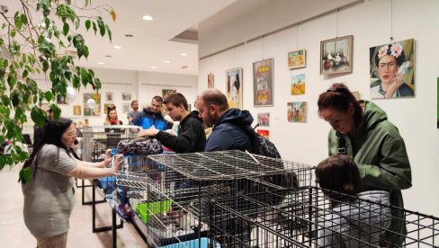 MOJA PRVA ŠAPA: Opština Vračar organizovala program za mačke ostavljene na ulici MOJA PRVA ŠAPA: Opština Vračar organizovala program za mačke ostavljene na ulici