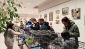 MOJA PRVA ŠAPA: Opština Vračar organizovala program za mačke ostavljene na ulici MOJA PRVA ŠAPA: Opština Vračar organizovala program za mačke ostavljene na ulici