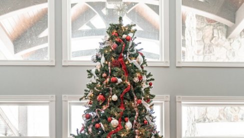 ВАША ЈЕЛКА ПУТОВАЛА ЈЕ ДУГО: Ове две земље Европе највећи произвођачи јелки - И ваша је, вероватно, стигла одавде!