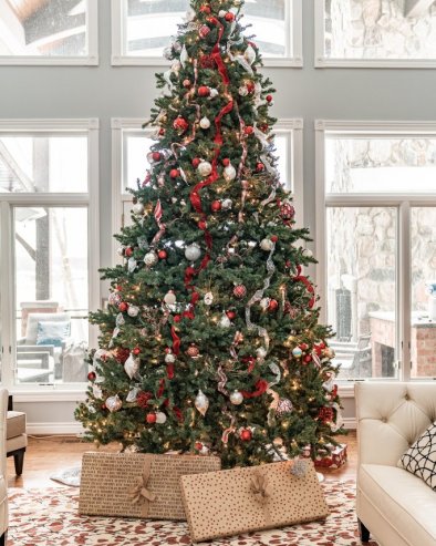 ВАША ЈЕЛКА ПУТОВАЛА ЈЕ ДУГО: Ове две земље Европе највећи произвођачи јелки - И ваша је, вероватно, стигла одавде!