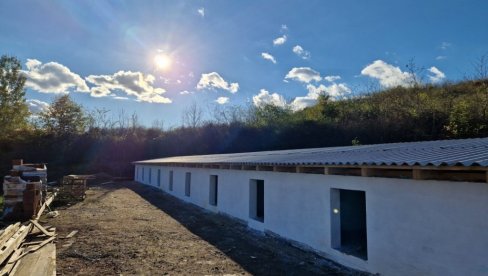ŠIRI SE KAPACITET AZILA ZA PSE: Smeštaj i briga za još stotinu životinja ŠIRI SE KAPACITET AZILA ZA PSE: Smeštaj i briga za još stotinu životinja