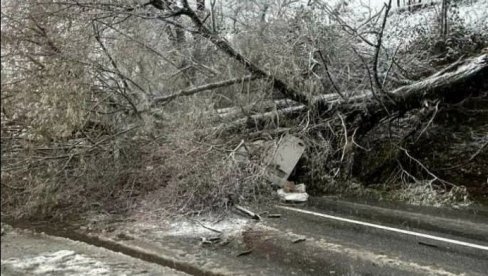 ПРВИ СНЕГ ДОНЕО ПРОБЛЕМЕ У ЦРНОЈ ГОРИ: Стабло пало на кола у покрету, две особе повређене (ФОТО/ВИДЕО)