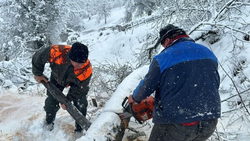 SRBIJA POD SNEGOM: Pao prvi sneg u Beogradu; Evakuisani građani na putnom pravcu Vranje - Kriva Feja SRBIJA POD SNEGOM: Pao prvi sneg u Beogradu; Evakuisani građani na putnom pravcu Vranje - Kriva Feja