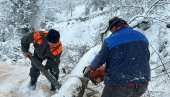 SRBIJA POD SNEGOM: Pao prvi sneg u Beogradu; Evakuisani građani na putnom pravcu Vranje - Kriva Feja SRBIJA POD SNEGOM: Pao prvi sneg u Beogradu; Evakuisani građani na putnom pravcu Vranje - Kriva Feja