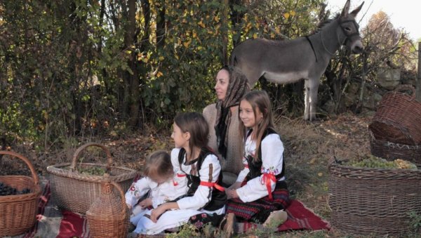 ОД ПРЕДАКА НАСЛЕДИЛИ И ГЕНЕ И ЗАНАТЕ: Погледајте како млади код Крушевца зарађују за живот и чувају традицију (ФОТО/ ВИДЕО) ОД ПРЕДАКА НАСЛЕДИЛИ И ГЕНЕ И ЗАНАТЕ: Погледајте како млади код Крушевца зарађују за живот и чувају традицију (ФОТО/ ВИДЕО)