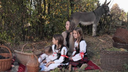 ОД ПРЕДАКА НАСЛЕДИЛИ И ГЕНЕ И ЗАНАТЕ: Погледајте како млади код Крушевца зарађују за живот и чувају традицију (ФОТО/ ВИДЕО)