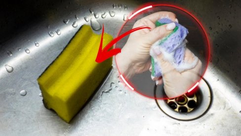 LEGLO BAKTERIJA Koliko često treba menjati kuhinjski sunđer? LEGLO BAKTERIJA Koliko često treba menjati kuhinjski sunđer?