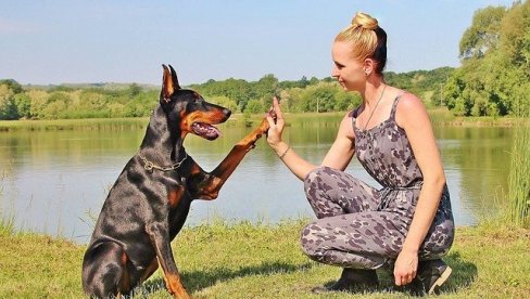 KOJE RASE JE NAJTEŽE DRESIRATI? Ovi psi baš i neće da slušaju