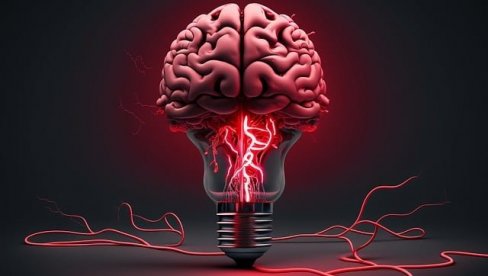 KAKO PODMLADITI MOZAK ZA 7 MESECI: Naučnici našli rešenje