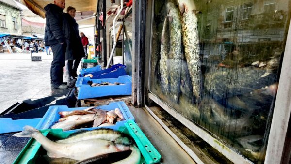 ЦЕНЕ РИБЕ НА ПИЈАЦАМА: Колико кошта пастрмка, а колико шаран ЦЕНЕ РИБЕ НА ПИЈАЦАМА: Колико кошта пастрмка, а колико шаран
