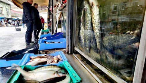 CENE RIBE NA PIJACAMA: Koliko košta pastrmka, a koliko šaran CENE RIBE NA PIJACAMA: Koliko košta pastrmka, a koliko šaran