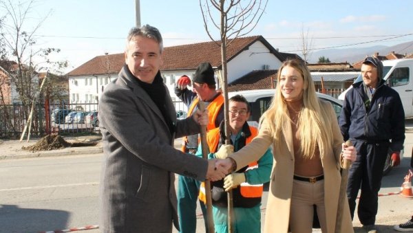 ИНФРАСТРУКТУРА И ЕКОЛОГИЈА: Након реконструкције канализационе мреже, Врање добија нови дрворед ИНФРАСТРУКТУРА И ЕКОЛОГИЈА: Након реконструкције канализационе мреже, Врање добија нови дрворед