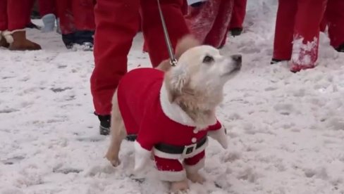 A POBEDNIK JE... DEDA MRAZ: U Letoniji održana tradicionalna božićna trka (VIDEO) A POBEDNIK JE... DEDA MRAZ: U Letoniji održana tradicionalna božićna trka (VIDEO)