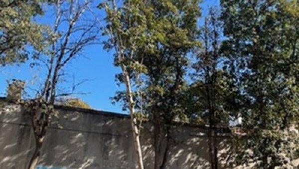 УРЕЂЕЊА ШКОЛСКИХ ДВОРИШТА: Пројекат Секретаријата за заштиту животне средине УРЕЂЕЊА ШКОЛСКИХ ДВОРИШТА: Пројекат Секретаријата за заштиту животне средине