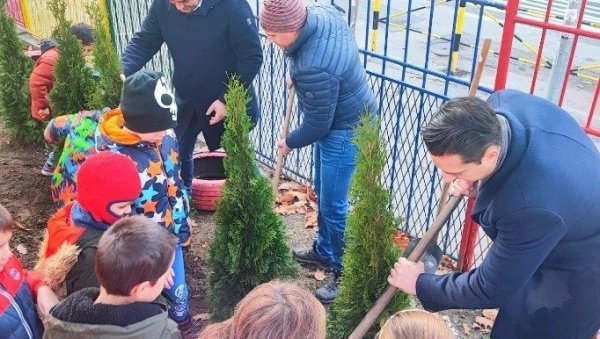 ПОСАДИЛИ 40 СТАБАЛА: Акција За зеленији Савски венац ПОСАДИЛИ 40 СТАБАЛА: Акција За зеленији Савски венац