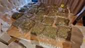ZAPLENJENO 69 KG MARIHUANE: Policija kod osumnjičenog pronašla i 54 litra knabisovog ulja ZAPLENJENO 69 KG MARIHUANE: Policija kod osumnjičenog pronašla i 54 litra knabisovog ulja