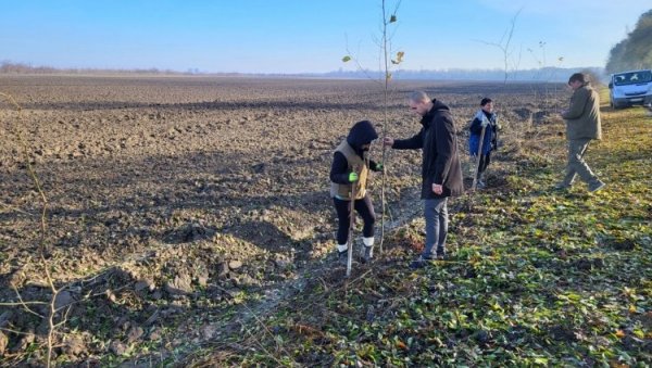 ДА МАЊЕ ДУВА И НАНОСИ СНЕГ: Почела садња ветрозаштитног појаса у Апатину ДА МАЊЕ ДУВА И НАНОСИ СНЕГ: Почела садња ветрозаштитног појаса у Апатину