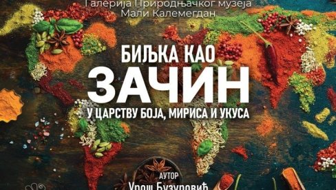 ČUDESNA MOĆ ZAČINA: Postavka u Galeriji Prirodnjačkog muzeja na Kalemegdanu ČUDESNA MOĆ ZAČINA: Postavka u Galeriji Prirodnjačkog muzeja na Kalemegdanu