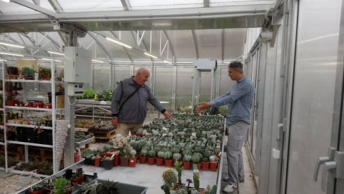 NA KROVU GAJI 1.500 KAKTUSA: Boban Stanković iz Niša već tri decenije opčinjen lepotom raskošnih i egzotičnih biljaka NA KROVU GAJI 1.500 KAKTUSA: Boban Stanković iz Niša već tri decenije opčinjen lepotom raskošnih i egzotičnih biljaka