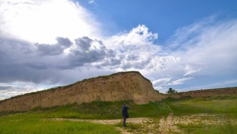 ГЛИНАРА - ГНЕЗДО  ЗАШТИЋЕНИХ ПТИЦА:  Секретаријат за заштиту животне средине покренуо процедуру за заштиту подручја на Палилули