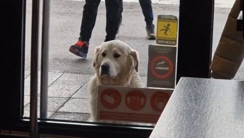 ZAŠTO JE SNIMAK IZ UŽICA POSTAO VIRALAN? Milion ljudi - za dva dana (VIDEO) ZAŠTO JE SNIMAK IZ UŽICA POSTAO VIRALAN? Milion ljudi - za dva dana (VIDEO)