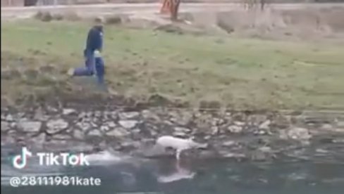 PRASE S RAŽNJA POBEGLO U REKU: Plivalo za slobodu, vlasnik ga jurio duž obale (VIDEO) PRASE S RAŽNJA POBEGLO U REKU: Plivalo za slobodu, vlasnik ga jurio duž obale (VIDEO)