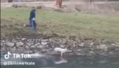 PRASE S RAŽNJA POBEGLO U REKU: Plivalo za slobodu, vlasnik ga jurio duž obale (VIDEO) PRASE S RAŽNJA POBEGLO U REKU: Plivalo za slobodu, vlasnik ga jurio duž obale (VIDEO)