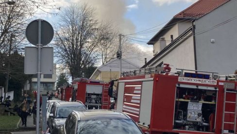 STANARI POBEGLI NA KROV: Bukti požar na Senjaku - Dim kulja na sve strane STANARI POBEGLI NA KROV: Bukti požar na Senjaku - Dim kulja na sve strane