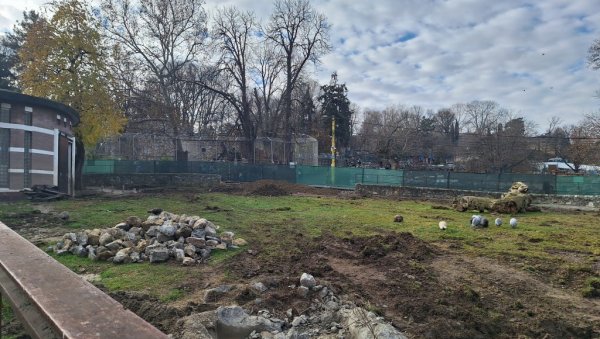 СЛОНОВИ СТИЖУ У БЕО ЗОО ВРТ: Животињско царство подно Каламегдана договине биће богатије за два нова члана СЛОНОВИ СТИЖУ У БЕО ЗОО ВРТ: Животињско царство подно Каламегдана договине биће богатије за два нова члана