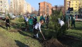 НАСТАВЉЕНА АКЦИЈА САДЊЕ: Ново насеље богатије за 31 дрво