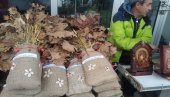 PŠENICA VEĆ OD 100, BADNJAK OD 200 DINARA: Božićne dekoracije na tezgama u Paraćinu PŠENICA VEĆ OD 100, BADNJAK OD 200 DINARA: Božićne dekoracije na tezgama u Paraćinu