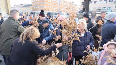 BADNJACI ZA 10 HILJADA PORODICA: NP „Fruška gora“ uoči Božića ponovo obradovao Novosađane (FOTO) BADNJACI ZA 10 HILJADA PORODICA: NP „Fruška gora“ uoči Božića ponovo obradovao Novosađane (FOTO)
