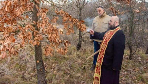 ЗОРОМ ПО БАДЊАК: У Зајечару се и ове године отвара Улица божићне радости