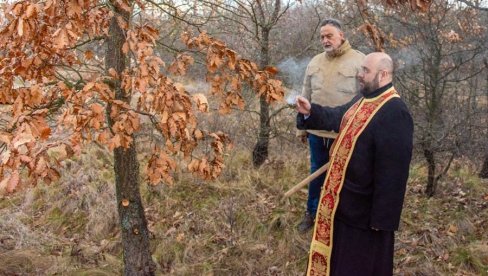 ZOROM PO BADNJAK: U Zaječaru se i ove godine otvara Ulica božićne radosti ZOROM PO BADNJAK: U Zaječaru se i ove godine otvara Ulica božićne radosti