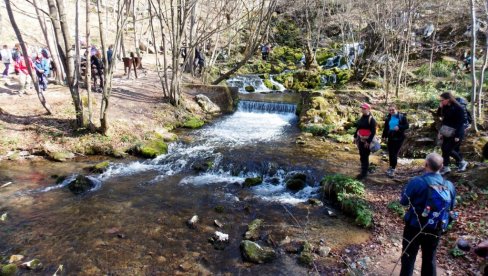 NA GRZI SUTRA I PLANINARI: Neko će plivati za časni krst, većina se penje na Javorački vrh NA GRZI SUTRA I PLANINARI: Neko će plivati za časni krst, većina se penje na Javorački vrh